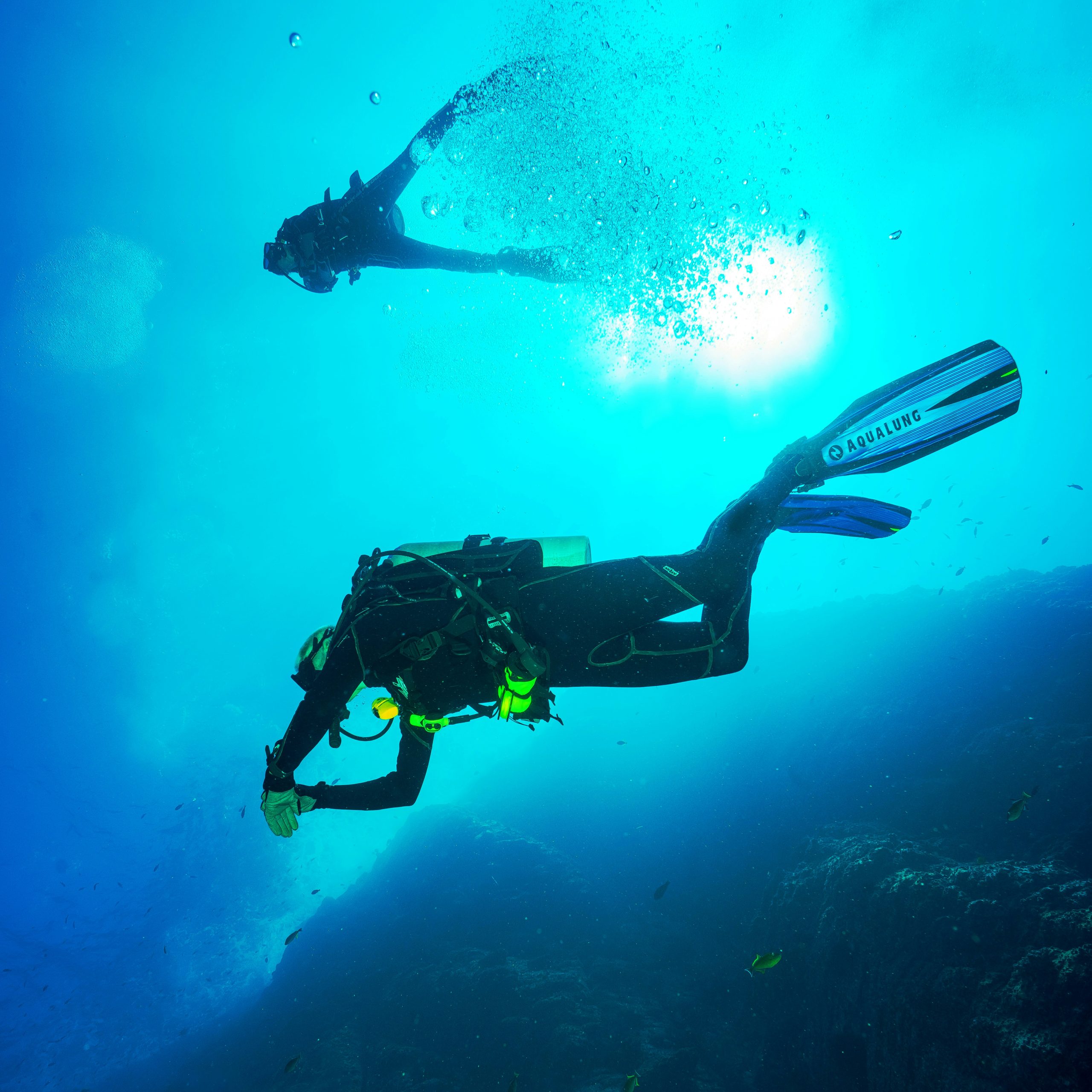 black-seahorse.com
