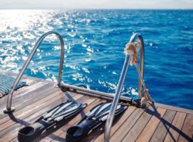 Paradise Island Snorkeling