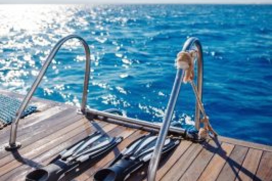 Paradise Island Snorkeling